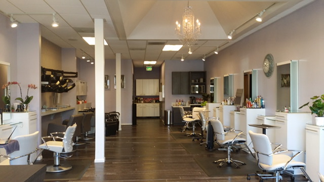 Lance Lanza Hair Salon in Beverly Hills for Womens Haircuts and Ladies Hair  color. | Lance Lanza